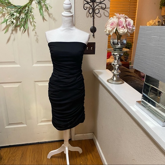 Chic Tyler Brand Strapless Ruched Tube Dress - Picture 3 of 8